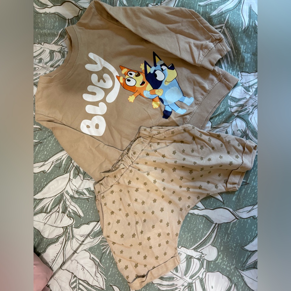 Bluey Toddler Matching Set